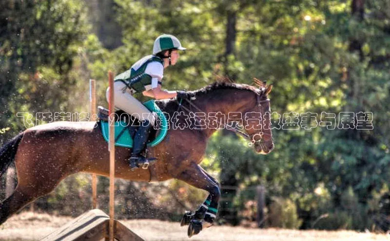 非凡官网登录入口