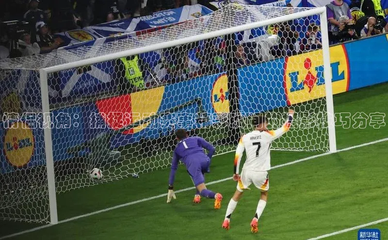 非凡体育官网入口